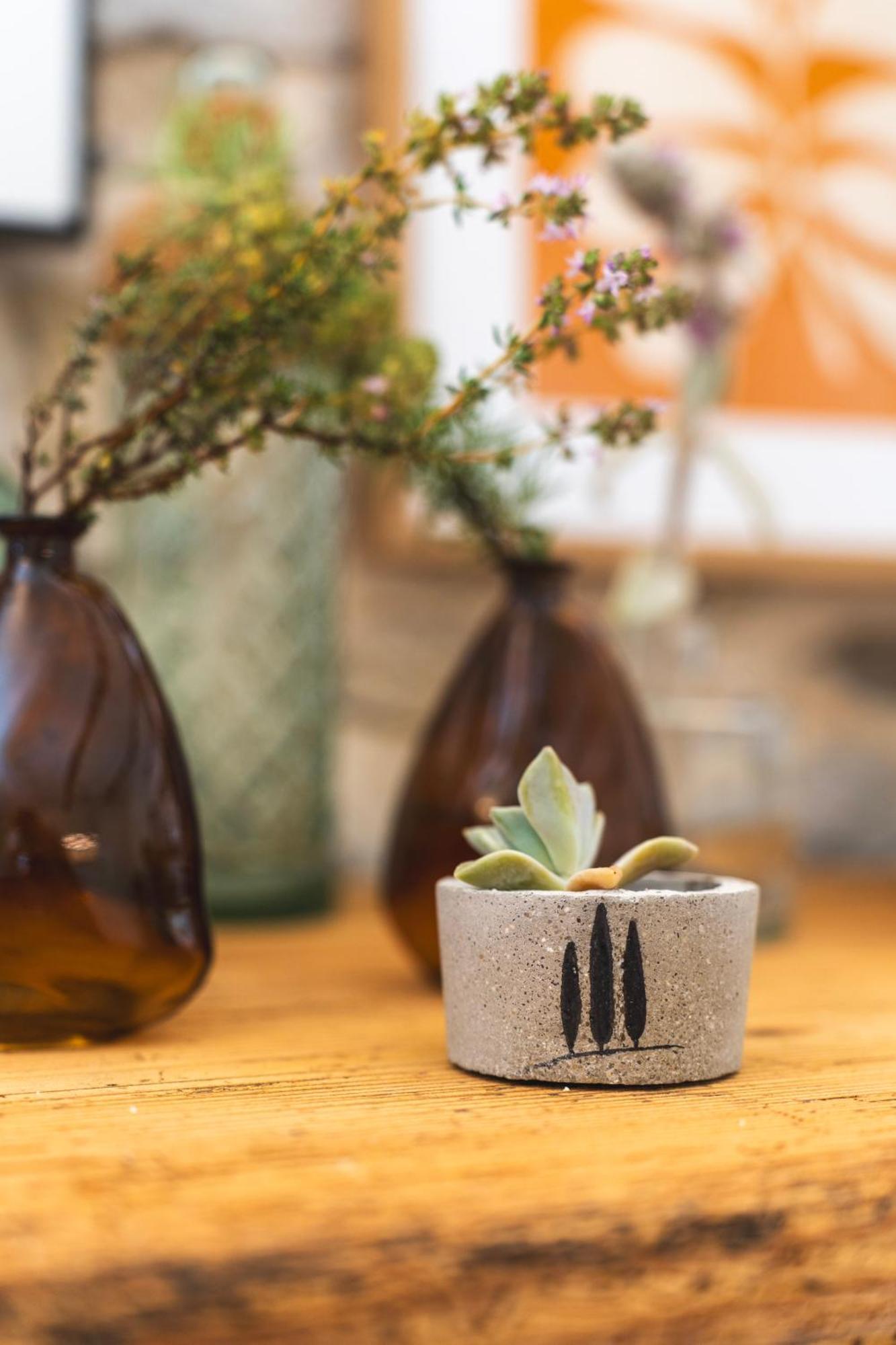 ホテル Les Terres Aoyama Saint Julien Les Rosiers エクステリア 写真